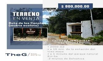 Foto de inmueble en  , Col. Puerto Morelos C.P. 77580, Benito Juárez