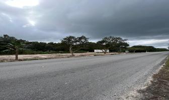 Foto de inmueble en  , Col. Puerto Morelos C.P. 77580, Benito Juárez