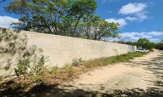 Foto de inmueble en , Col. Puerto Morelos C.P. 77580, Benito Juárez