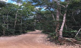 Foto de inmueble en , Col. Puerto Morelos C.P. 77580, Benito Juárez