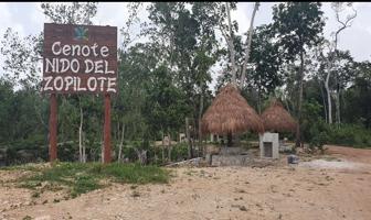 Foto de inmueble en Puerto Morelos, Col. Leona Vicario C.P. 77590, Puerto Morelos