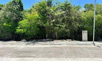 Foto de inmueble en  , Col. Puerto Morelos C.P. 77580, Puerto Morelos
