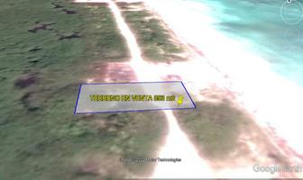 Foto de inmueble en  , Col. Quintana Roo C.P. 97655, Quintana Roo