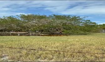 Foto de inmueble en  , Col. Quintana Roo C.P. 97655, Quintana Roo
