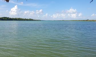 Foto de inmueble en  , Col. Quintana Roo C.P. 97655, Quintana Roo