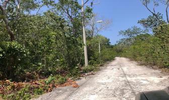 Foto de inmueble en Quintana Roo, Col. Tulum Centro C.P. 77760, Tulum
