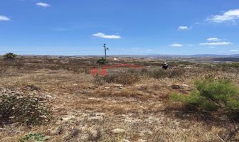 Foto de inmueble en Rancho 2 palmas #0, Col. Las 2 Palmas C.P. 22650, Tijuana