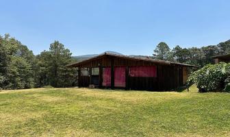 Foto de inmueble en Rancho Avandaro, Col. Avándaro C.P. 51200, Valle de Bravo