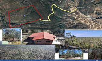 Foto de inmueble en Rancho Laguna Colorada, Col. Laguna Colorada C.P. 34329, Durango