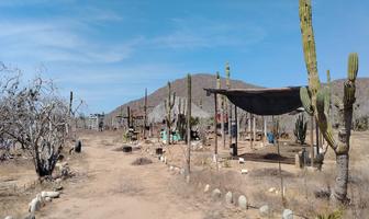 Foto de inmueble en RANCHO ROCA VIVA, Col. Pescadero C.P. 23310, La Paz