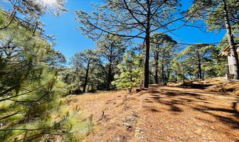 Foto de inmueble en Real del Bosque, Col. Mazamitla C.P. 49500, Mazamitla