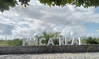 Foto de inmueble en  , Col. Riachuelo C.P. 93578, Tecolutla