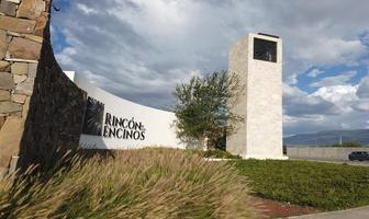 Foto de inmueble en  , Col. Rincón de los Encinos C.P. 25209, Saltillo