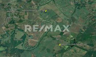 Foto de inmueble en Río Pánuco "Rancho Paija", Col. Tamicho y Vichinchijol C.P. 92000, Pánuco