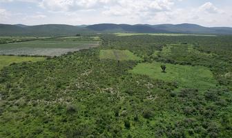 Foto de inmueble en , Col. Río Verde Centro C.P. 79610, Rioverde