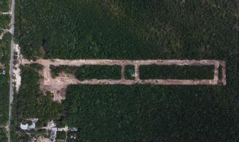Foto de inmueble en Ruta Selva Urbana, Col. Puerto Morelos C.P. 77580, Puerto Morelos