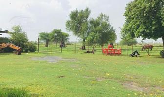 Foto de inmueble en  , Col. Sabinas Hidalgo C.P. 65249, Sabinas Hidalgo