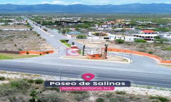 Foto de inmueble en  , Col. Salinas Victoria C.P. 65500, Salinas Victoria