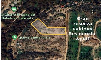 Foto de inmueble en Terreno en El Sabinal, Aguascalientes //, Col. Paseo de los Cactus C.P. 20196, Aguascalientes