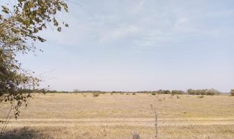 Foto de inmueble en Salvasuchil y Tanchicuin, Col. Panuco Centro C.P. 93990, Pánuco