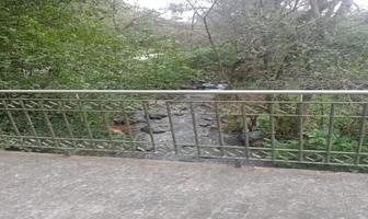 Foto de inmueble en  , Col. San Andrés de los Gama C.P. 51340, Temascaltepec