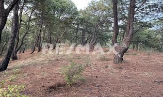 Foto de inmueble en San Antonio, Residencial Pinar de Binibeca, Col. Valle de Bravo C.P. 51200, Valle de Bravo