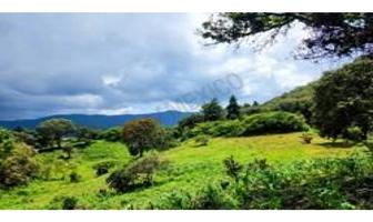 Foto de inmueble en SAN JUAN ATEXCAPAN, Col. Valle de Bravo C.P. 51200, Valle de Bravo