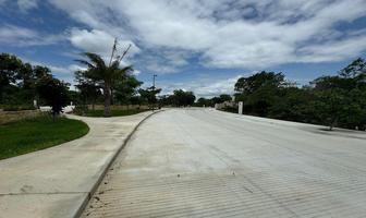 Foto de inmueble en  , Col. San Ignacio Tesip C.P. 97316, Mérida