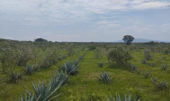 Foto de inmueble en  , Col. San Isidro Mazatepec C.P. 45340, Tala