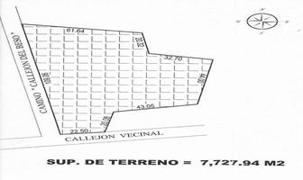 Foto de inmueble en San Juanico, Col. Fracción la Angostura Norte C.P. 78414, San Luis Potosí