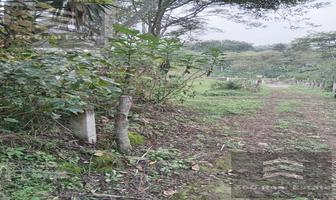 Foto de inmueble en  , Col. San Marcos de Leon C.P. 91605, Coatepec