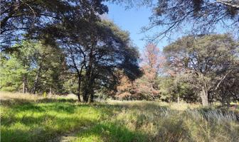 Foto de inmueble en  , Col. San Miguel Contla C.P. 90640, Santa Cruz Tlaxcala