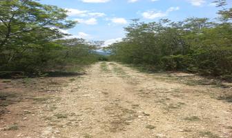Foto de inmueble en  , Col. San Miguel Etla C.P. 68234, San Juan Bautista Guelache