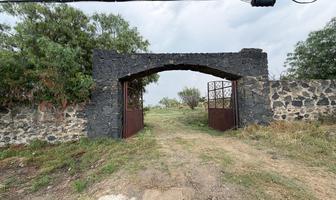 Foto de inmueble en  , Col. Santa Catarina Ayotzingo C.P. 56623, Chalco