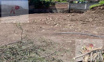 Foto de inmueble en , Col. Santa María Tepepan C.P. 16020, Xochimilco