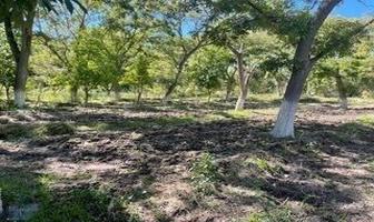 Foto de inmueble en S/D, Col. Parras C.P. 27987, Parras