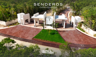 Foto de inmueble en Senderos Poniente, Col. Ciudad Mayakoba C.P. 77724, Solidaridad