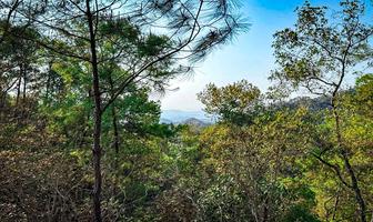 Foto de inmueble en Sierra de Jalisco, Potrero de Mulas I, Col. Palmillas Del Cacao C.P. 48266, Puerto Vallarta