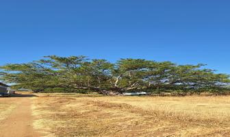Foto de inmueble en SIN NOMBRE, Col. Cuilápam de Guerrero Centro C.P. 71400, Cuilápam de Guerrero
