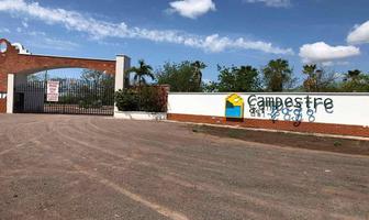 Foto de inmueble en sin nombre, Col. El Limón de los Ramos C.P. 80305, Culiacán