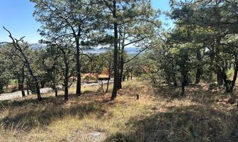 Foto de inmueble en SN #LOTE 19, Col. Tapalpa C.P. 49340, Tapalpa