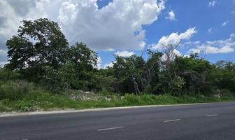 Foto de inmueble en S/N, Col. San Antonio Hool C.P. 97302, Mérida