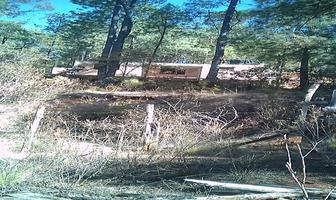 Foto de inmueble en SN, Col. Santa Cruz Almolonga C.P. 29256, San Cristóbal de las Casas