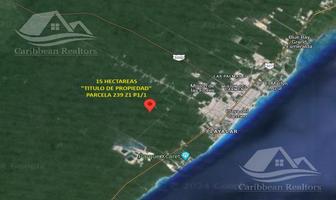 Foto de inmueble en  , Col. Solidaridad C.P. 77733, Solidaridad