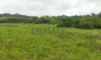Foto de inmueble en  , Col. Tampico Alto Centro C.P. 92050, Tampico Alto