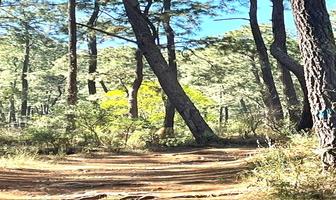 Foto de inmueble en Tapalpa #WHI313530, Col. Tapalpa C.P. 49340, Tapalpa
