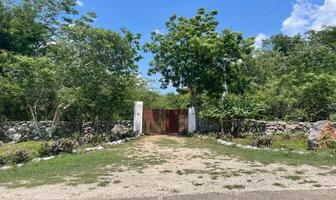 Foto de inmueble en  , Col. Tecoh C.P. 97820, Tecoh