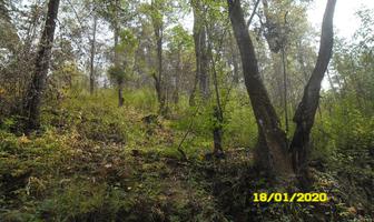 Foto de inmueble en  , Col. Temascaltepec de González C.P. 51300, Temascaltepec