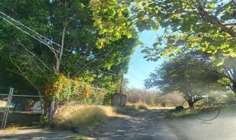 Foto de inmueble en , Col. Tequesquitengo C.P. 62915, Jojutla