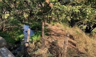Foto de inmueble en Terreno en Taretan, Michoacán., Col. Uruapan Centro C.P. 60000, Uruapan